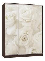 Бассо 7-600 розы (полки слева) венге Бассо 7-600 розы (полки слева) венге