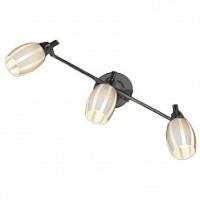 Спот Lussole Brindidi GRLSX-6701-03 фото Спот Lussole Brindidi GRLSX-6701-03. Фото №1