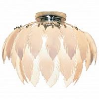 Накладной светильник Lussole Vercelli LSQ-1907-05 фото Накладной светильник Lussole Vercelli LSQ-1907-05