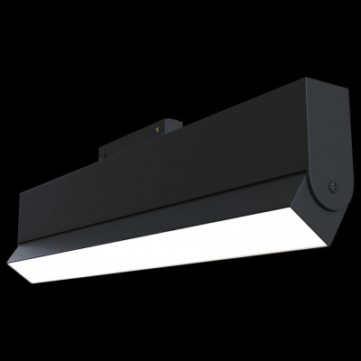 Накладной светильник Maytoni BASIS TR013-2-20W3K-B. Фото