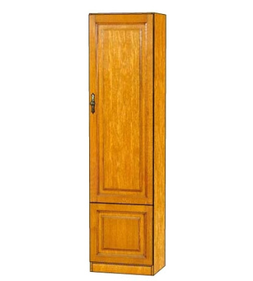 Шкаф Орион 2М. Фото