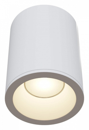 Накладной светильник Maytoni Zoom C029CL-01W. Фото №1