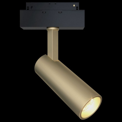 Светильник на штанге Maytoni Focus LED TR019-2-10W4K-MG. Фото