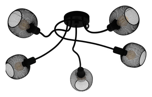 Потолочная люстра Eglo ПРОМО Wrington 1 43374. Фото №1