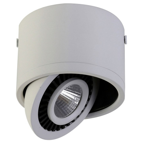 Накладной светильник Favourite Reflector 1776-1C. Фото №1