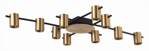 Потолочная люстра ST-Luce Veroli SL1207.402.10. Фото №1