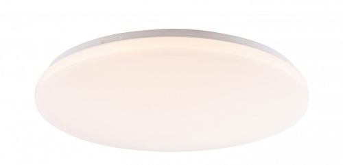 Накладной светильник Globo Tarug 41003-42. Фото №1